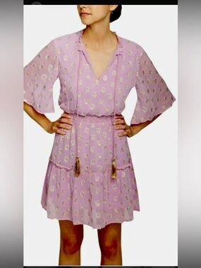 RAGA Pink Dress with Gold Metallic Dot Accents